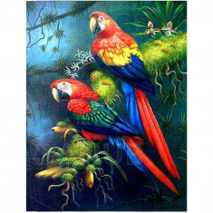 Diamantové malování - výšivka - 30x40 cm - papoušci