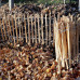 Plot z lískového dřeva - 7-9cm rozestup - 5x0,9m