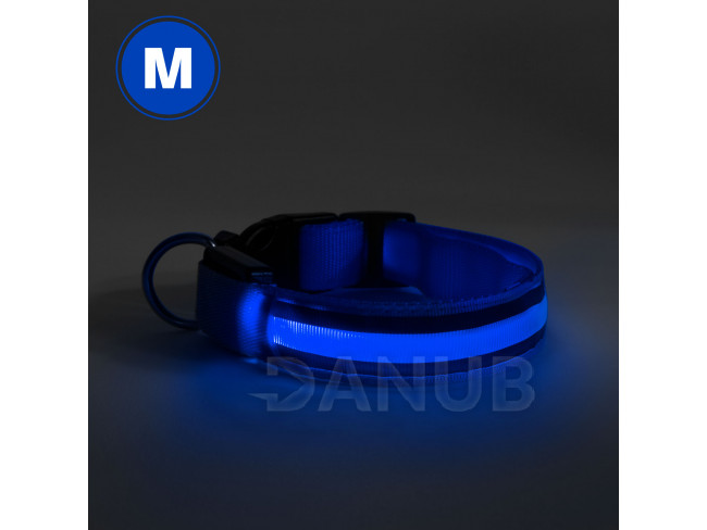 LED obojek - velikost M - modrá