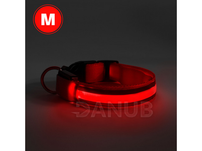 LED obojek - velikost M - červená