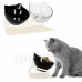 SPRINGOS Dvojitá miska pro psa a kočku s protiskluzovým dnem - černá/průsvitná