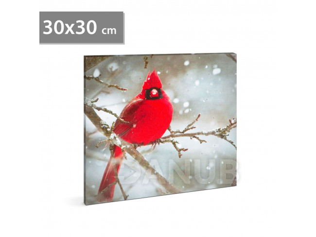 LED obraz - kardinál červený - 30 x 30 cm
