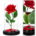 Springos Věčná růže ve skle - Led - 22 cm - červená/zelené listy