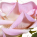 Springos Věčná růže ve skle - Led - 22 cm - růžová/zelené listy