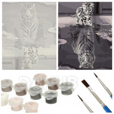 Malování podle čísel 40x50cm kočka a tygr