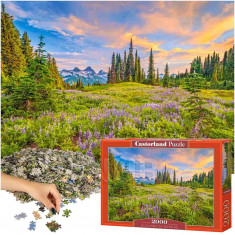 CASTORLAND Puzzle 2000 dílků Blossoms of Morning - 92x68cm