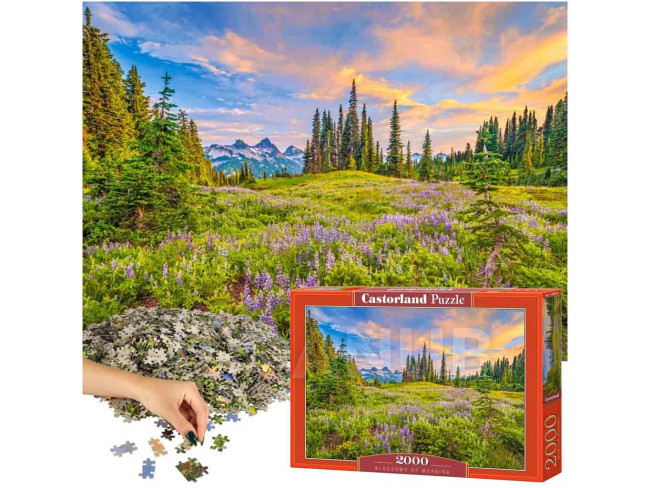 CASTORLAND Puzzle 2000 dílků Blossoms of Morning - 92x68cm