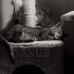 Springos Sisalové škrábadlo pro kočky s hračkami - 3-úrovně - 62 cm - šedé