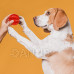 Springos Hračka pro psa - míček s otvory - červená