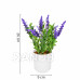 Springos Umělá levandule v květináči - 26 cm - bílý květináč