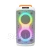 Party reprobox, 2 x 165 mm, akumulátor, BT, LED, s mikrofonem