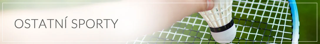 Ostatní sporty