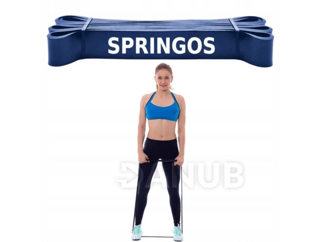 Guma na cvičení - odpor 37-46kg - modrá