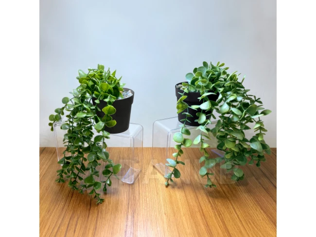 Umělá rostlina - v květináči, plazivá - 16 x 26 cm