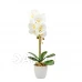 Umělá rostlina dekorace - orchidej - bílá - 42 cm