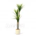Umělá rostlina dekorace - Dracaena Marginata - zelená - 1,2m