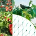 Ochranná síť proti ptákům s upevňovacími kolíky (20ks) - 10x20 m - zelená